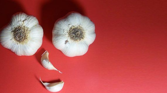 שום - האנטיביוטיקה העוצמתית של הטבע