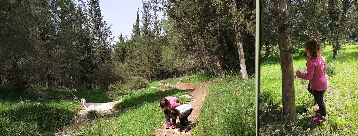 משפחה בטבע - רתמי רפואה טבעית