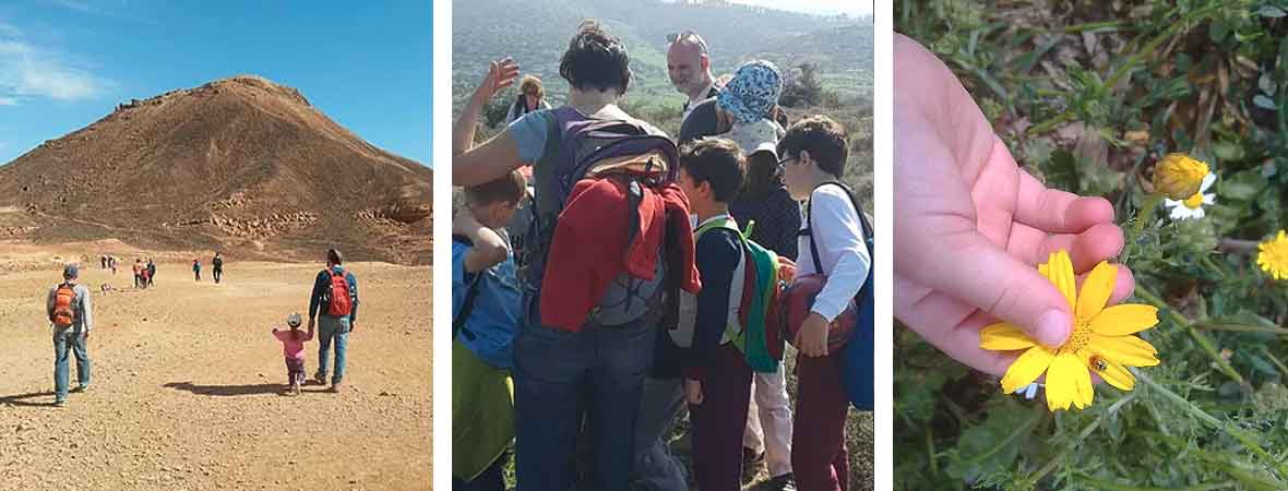 מתוך האתר של רותי זיו