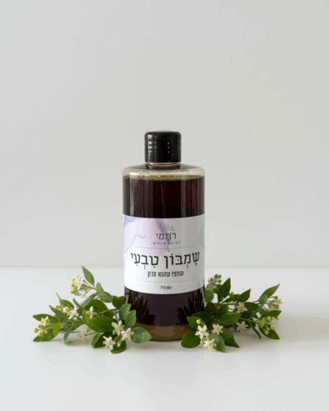 שמבון